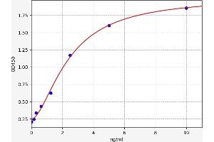 Typical standard curve (FAM20C ELISA Kit)