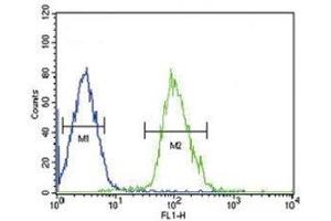 Beta III Tubulin antibody flow cytometric analysis of HepG2 cells (right histogram) compared to a negative control cell (left histogram). (TUBB3 antibody  (AA 36-63))