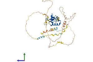 Protein Structure (PS) image for Forkhead Box B2 (FOXB2) (AA 1-428) protein (His tag) (ABIN7557858)