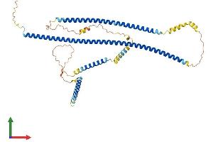 Protein Structure (PS) image for Cerebellar Degeneration-Related Protein 2, 62kDa (CDR2) (AA 1-454) protein (His tag) (ABIN7553117)