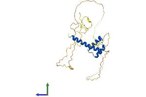 AlphaFold protein structure predicition of Mouse Recombinant Hoxc12 Protein, UniprotID Q8K5B8