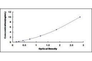 Typical standard curve