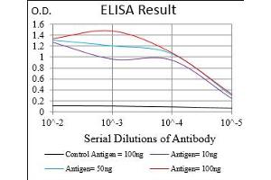 Fig. (RAP1GAP antibody  (AA 412-678))
