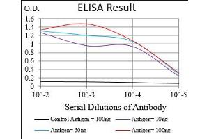 Fig. (RAP1GAP antibody  (AA 412-678))