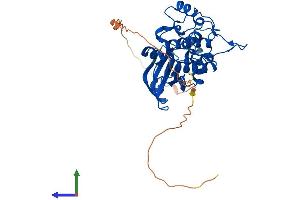 Protein Structure (PS) image for Testis-Specific serine Kinase 1B (TSSK1B) (AA 1-365) protein (His tag) (ABIN7557684)
