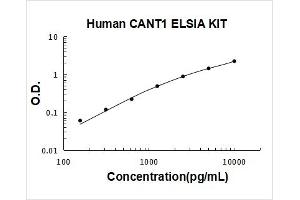 Calcium Activated Nucleotidase 1 (CANT1) ELISA Kit