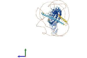 AlphaFold protein structure predicition of Mouse Recombinant Invs Protein, UniprotID O89019