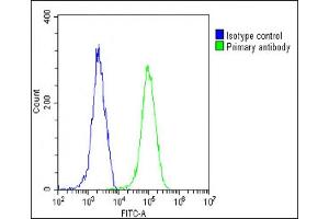 Overlay histogram showing HeLa cells stained with (ABIN388094 and ABIN2837860)(green line). (BAX antibody  (AA 41-76))