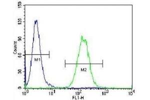 Vimentin antibody flow cytometric analysis of A549 cells (right histogram) compared to a negative control (left histogram). (Vimentin antibody)