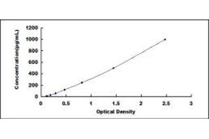 Typical standard curve (DEFB124 ELISA Kit)