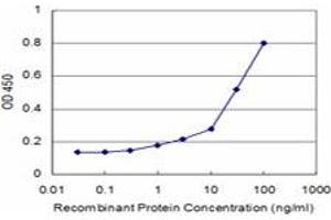 Detection limit for recombinant GST tagged MAGED2 is approximately 1ng/ml as a capture antibody. (MAGED2 antibody  (AA 16-125))