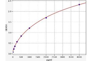 Typical standard curve (TNFRSF11A ELISA Kit)
