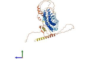 AlphaFold protein structure predicition of Human Recombinant POTEH Protein, UniprotID Q6S545 (POTEH Protein (AA 1-545) (His tag))