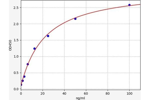 ABCC4 ELISA Kit