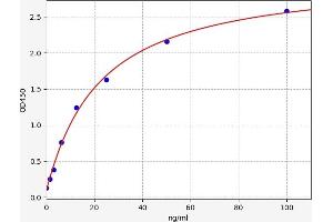 Typical standard curve (ABCC4 ELISA Kit)