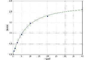 A typical standard curve (Synaptophysin ELISA Kit)