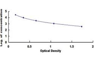 Image no. 1 for Luteinizing Hormone (LH) ELISA Kit (ABIN1873321)
