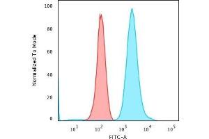 Flow Cytometric Analysis of PFA-fixed K562 cells using Fascin-1 Mouse Monoclonal Antibody (FSCN1/417) followed by Goat anti-Mouse IgG-CF488 (Blue); Isotype Control (Red) (Fascin antibody)