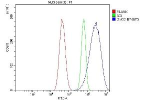 Flow Cytometry analysis of U87 cells using anti-GNG2 antibody (ABIN7600505).