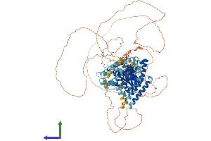 AlphaFold protein structure predicition of Mouse Recombinant Swt1 Protein, UniprotID Q9DBQ9 (SWT1 Protein (AA 1-907) (His tag))