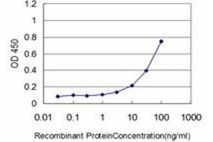 Detection limit for recombinant GST tagged HSPB8 is approximately 3ng/ml as a capture antibody. (HSPB8 antibody  (AA 97-196))