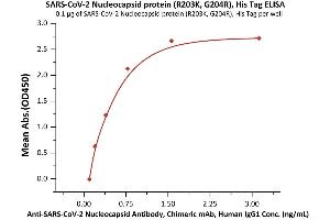 ELISA image for SARS-CoV-2 Nucleocapsid (SARS-CoV-2 N) (G204R), (R203K) (Active) protein (His tag) (ABIN6992418)