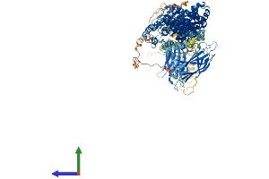 Protein Structure (PS) image for BAI1-Associated Protein 3 (BAIAP3) (AA 1-1187) protein (His tag) (ABIN7552571)