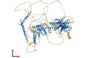AlphaFold protein structure predicition of Mouse Recombinant Srebf2 Protein, UniprotID Q3U1N2