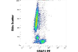 Flow cytometry intracellular staining pattern of human peripheral whole blood stained using anti-human GRAP2(UW40) PE antibody (concentration in sample 1,7 μg/mL). (GRAP2 antibody  (PE))