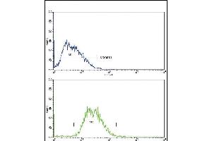 TTR Antibody (Center) (ABIN390652 and ABIN2840950) flow cytometry analysis of HepG2 cells (bottom histogram) compared to a negative control cell (top histogram). (TTR antibody  (AA 47-74))