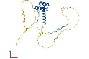 AlphaFold protein structure predicition of Human Recombinant PROP1 Protein, UniprotID O75360 (PROP1 Protein (AA 1-226) (His tag))
