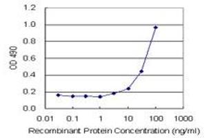 Sandwich ELISA detection sensitivity ranging from 3 ng/mL to 100 ng/mL. (B2M (Human) Matched Antibody Pair)
