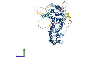 AlphaFold protein structure predicition of Human Recombinant BYSL Protein, UniprotID Q13895