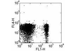 Image no. 2 for anti-Chemokine (C-C Motif) Receptor 7 (CCR7) antibody (APC) (ABIN476419) (CCR7 antibody  (APC))