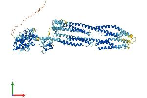 Protein Structure (PS) image for Actinin, alpha 2 (ACTN2) (AA 1-894) protein (His tag) (ABIN7551879)