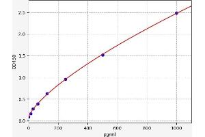 FBLN2 ELISA Kit