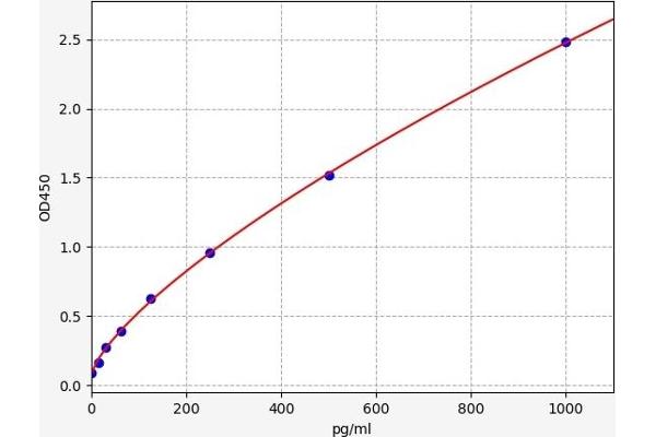 FBLN2 ELISA Kit