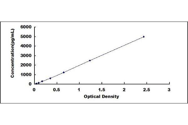 PPIB ELISA Kit