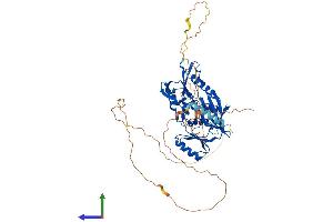 AlphaFold protein structure predicition of Mouse Recombinant Syn3 Protein, UniprotID Q8JZP2 (Synapsin III Protein (SYN3) (AA 1-579) (His tag))