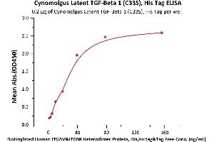 Immobilized Cynomolgus Latent  1 (C33S), His Tag (ABIN6973142) at 2 μg/mL (100 μL/well) can bind Biotinylated Human ITGAV&ITGB8 Heterodimer Protein, His,Avitag&Tag Free (ABIN6253195,ABIN6253521) with a linear range of 1-39 ng/mL (Routinely tested).