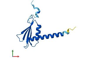 AlphaFold protein structure predicition of Human Recombinant POLR2J3 Protein, UniprotID Q9H1A7