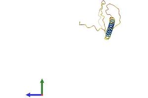 AlphaFold protein structure predicition of Human Recombinant SERTM1 Protein, UniprotID A2A2V5