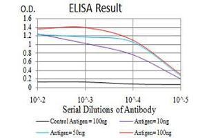 Black line: Control Antigen (100 ng), Purple line: Antigen(10 ng), Blue line: Antigen (50 ng), Red line: Antigen (100 ng), (PRDM5 antibody  (AA 1-100))