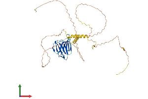 Protein Structure (PS) image for Intermediate Filament Tail Domain Containing 1 (IFLTD1) (AA 1-413) protein (His tag) (ABIN7560981)