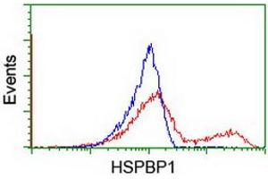HEK293T cells transfected with either RC201814 overexpress plasmid (Red) or empty vector control plasmid (Blue) were immunostained by anti-HSPBP1 antibody (ABIN2454877), and then analyzed by flow cytometry. (HSPBP1 antibody)