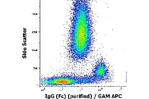 Flow cytometry surface staining pattern of human peripheral whole blood using anti-human IgG (Fc) (EM-07) purified antibody (concentration in sample 1 μg/mL, GAM APC). (Mouse anti-Human IgG Fc (Fc Region) Antibody)