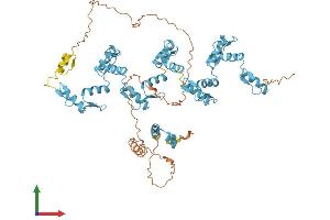AlphaFold protein structure predicition of Human Recombinant ZNF813 Protein, UniprotID Q6ZN06