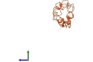 AlphaFold protein structure predicition of Human Recombinant KRTAP4-2 Protein, UniprotID Q9BYR5 (KRTAP4-2 Protein (AA 1-136) (His tag))