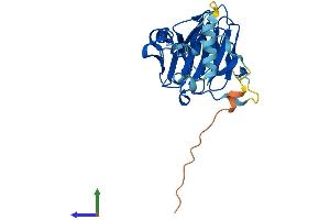 AlphaFold protein structure predicition of Mouse Recombinant Spsb2 Protein, UniprotID O88838 (SPSB2 Protein (AA 1-264) (His tag))