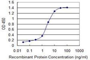 Detection limit for recombinant GST tagged MMP26 is 0. (MMP26 antibody  (AA 152-261))